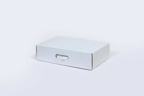 18 1/4 x 11 3/8 x 2 11/16"  Carrying Case with Plastic Handle