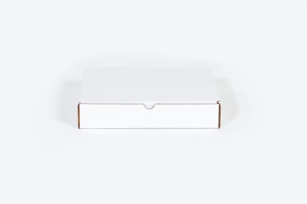 15 1/8 x 11 1/8 x 4" Protective Literature Mailer